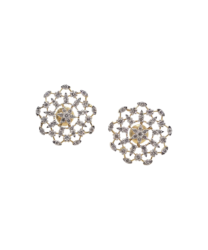 41 Frostelle Spark Earrings